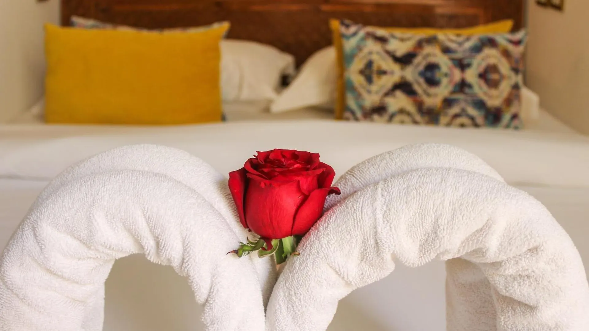 Riad Matins De Marrakech Marrakesh